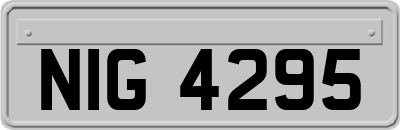 NIG4295