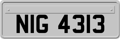 NIG4313