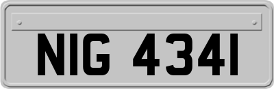 NIG4341