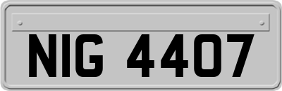 NIG4407