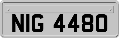 NIG4480