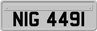 NIG4491