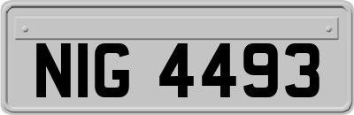 NIG4493