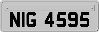 NIG4595