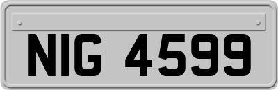 NIG4599