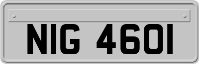 NIG4601
