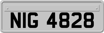 NIG4828