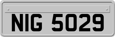 NIG5029