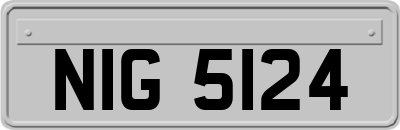 NIG5124