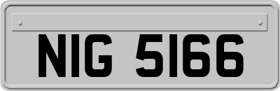 NIG5166