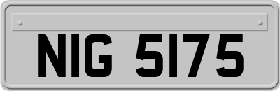 NIG5175