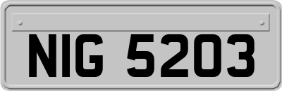NIG5203