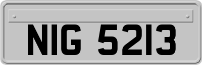 NIG5213