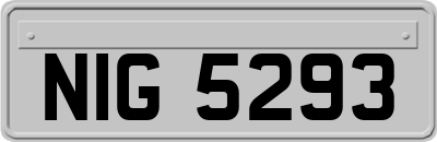 NIG5293