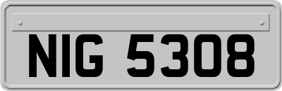 NIG5308