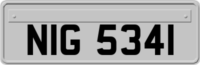 NIG5341