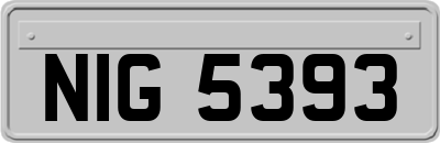 NIG5393