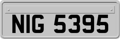 NIG5395