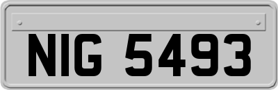 NIG5493