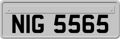 NIG5565