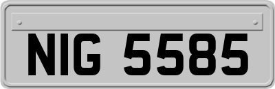 NIG5585