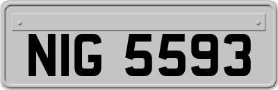 NIG5593