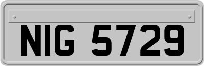 NIG5729