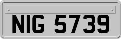 NIG5739