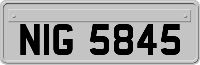 NIG5845
