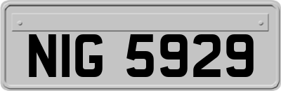 NIG5929