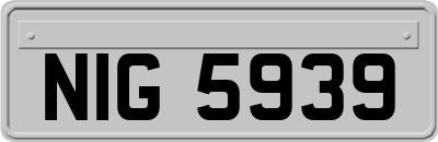 NIG5939