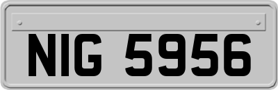 NIG5956
