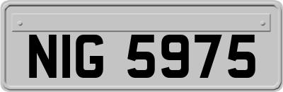 NIG5975