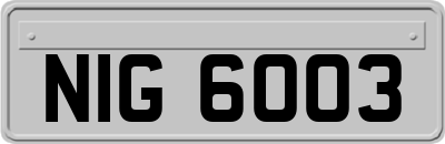 NIG6003