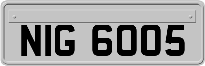 NIG6005