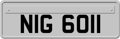 NIG6011