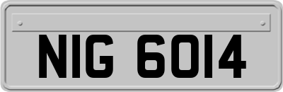NIG6014