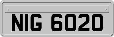 NIG6020