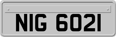 NIG6021