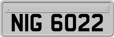 NIG6022