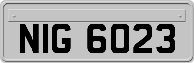 NIG6023