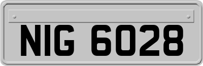 NIG6028