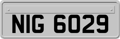NIG6029