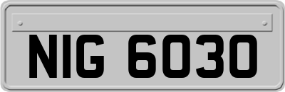 NIG6030