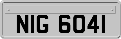 NIG6041
