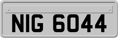 NIG6044
