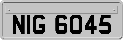 NIG6045