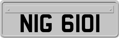 NIG6101