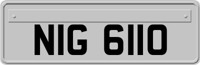 NIG6110