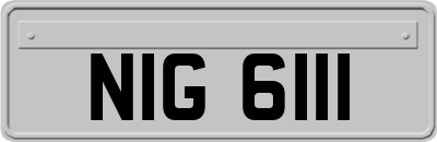 NIG6111